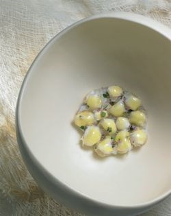 Shiitake mushroom stock