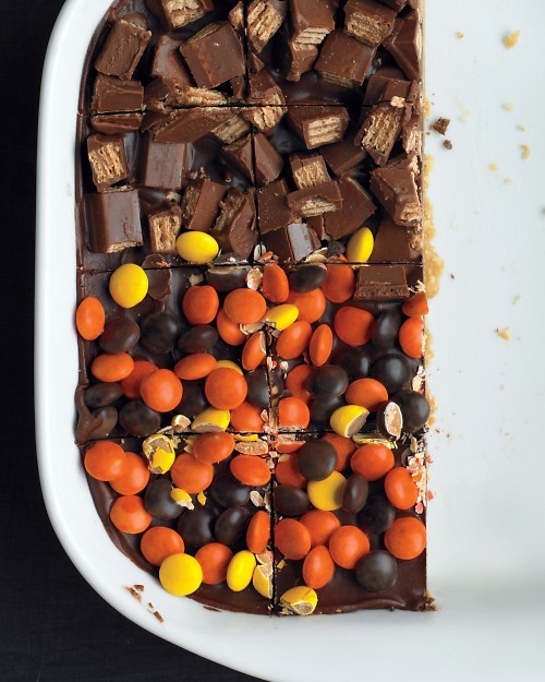 Shortbread candy bars