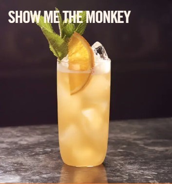 Show me the monkey