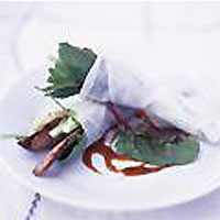 Shredded duck, spring onion and mint rolls with hoisin sauce