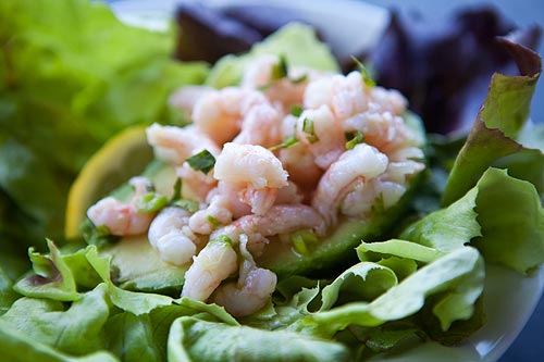 Shrimp and avocado salad
