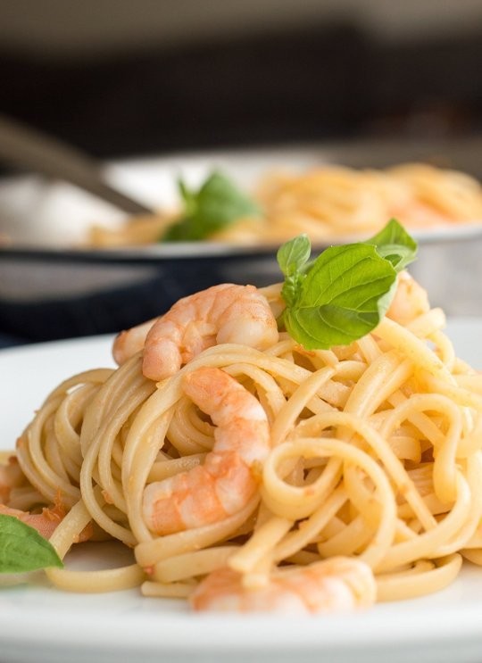 Shrimp pasta with white wine sauce