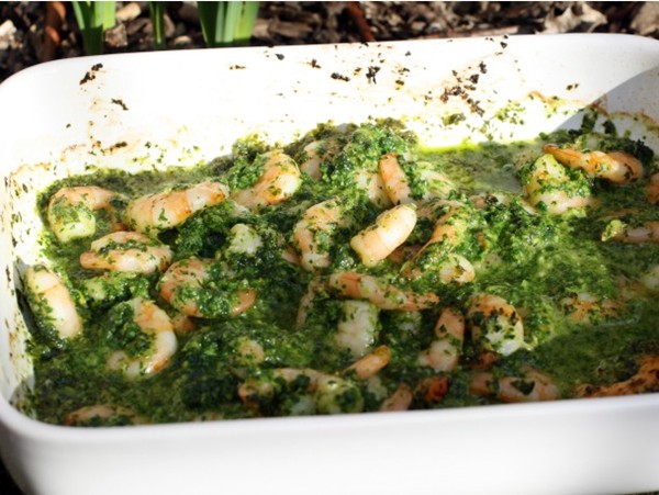 Shrimp with green sauce