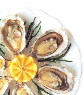 Shucking oysters