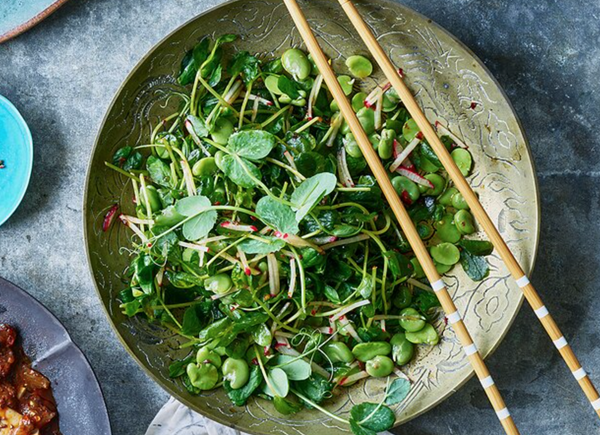 Sichuan fava bean, pea sprout & radish salad