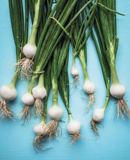 Silky vegetable soup
