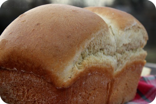 Simple milk loaf