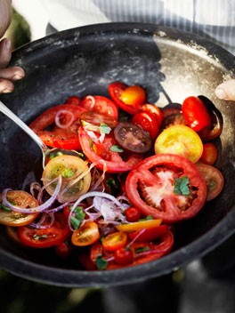 Simple tomato and onion salad with vincotto dressing