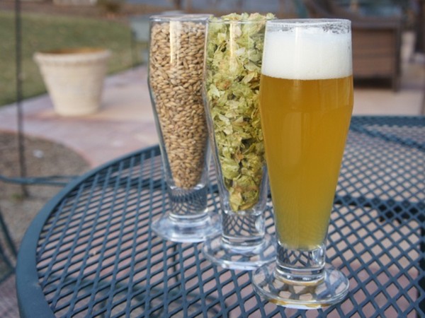 Single-malt, single-hop IPA (for beginning homebrewers)