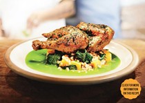 Skillet-roasted chicken with farro and herb pistou