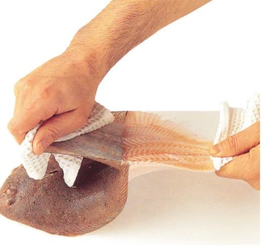Skinning whole flat fish