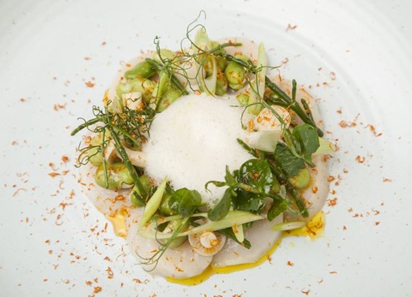 Sliced scallops, summer greens, yuzu, Manx Queenie scallop soup and roast shellfish oil