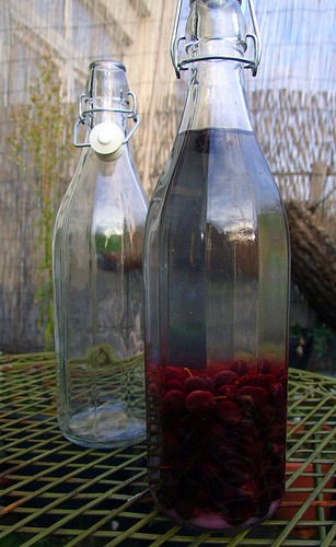 Sloe gin