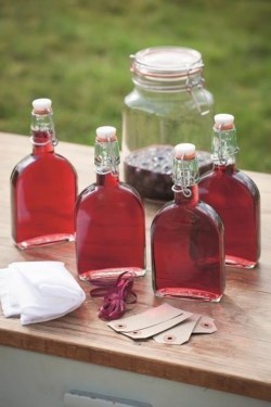 Sloe or Damson vodka or gin