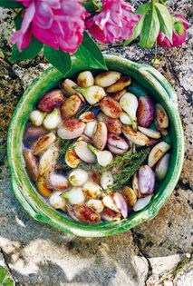Slow-braised shallots with cider