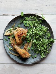 Slow-cooked chicken with fennel & white wine