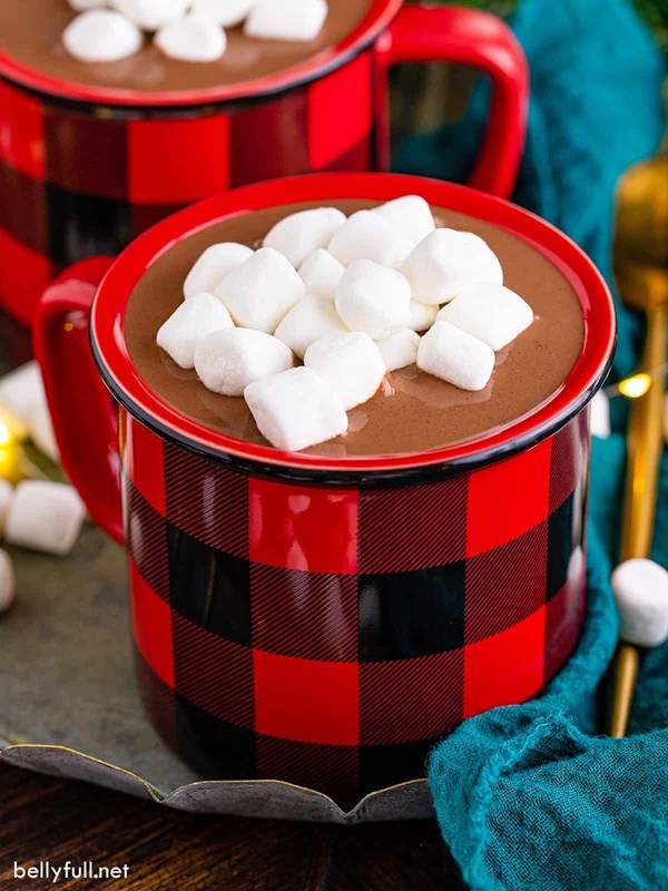 Slow cooker hot chocolate