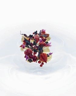 Slow-roasted Chioggia & albino beetroot, violets, truffles, native currants