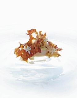 Smoked & confit pig jowl, shiitake, shaved sea scallop, Jerusalem artichoke leaves, juniper, bay