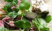 Smoked ham and cucumber salad