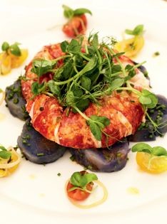 Smoked lobster salad (Warm smoked North Sea lobster and purple potato salad with tomato and basil dressing)