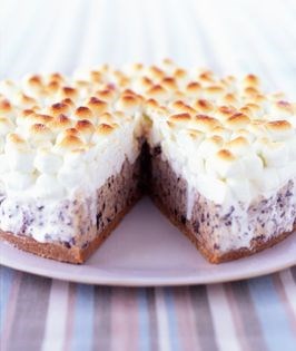 S'mores ice cream cake with cappuccino-chocolate chip ice cream