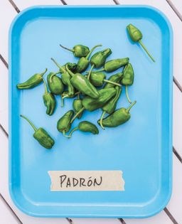Snacking peppers