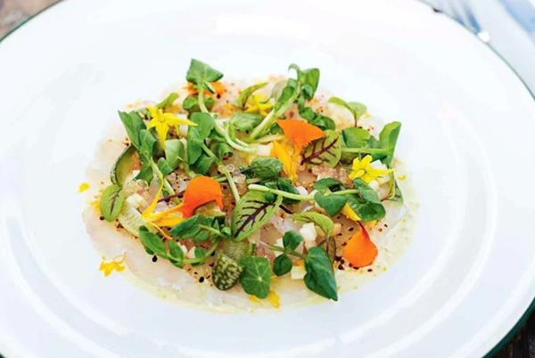 Snapper sashimi, cucamelon and jalapeño mayonnaise