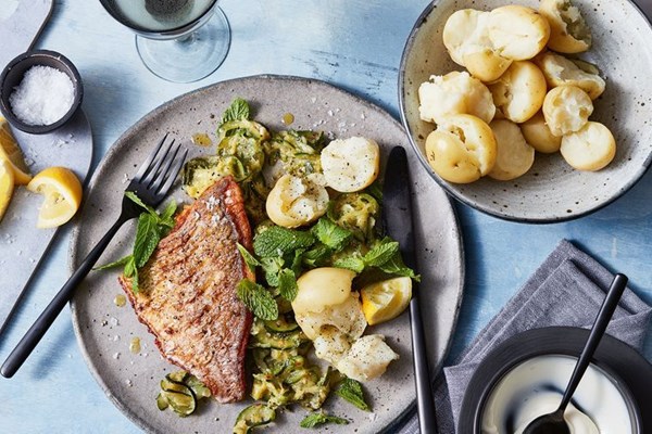 Snapper with braised zucchini, chilli and mint