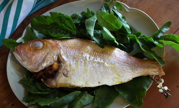 Snapper with sorrel and pancetta