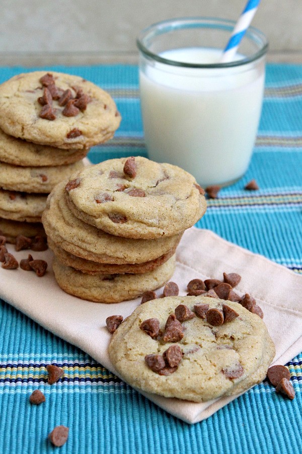Snickerdoodle pudding cookies recipe Eat Your Books