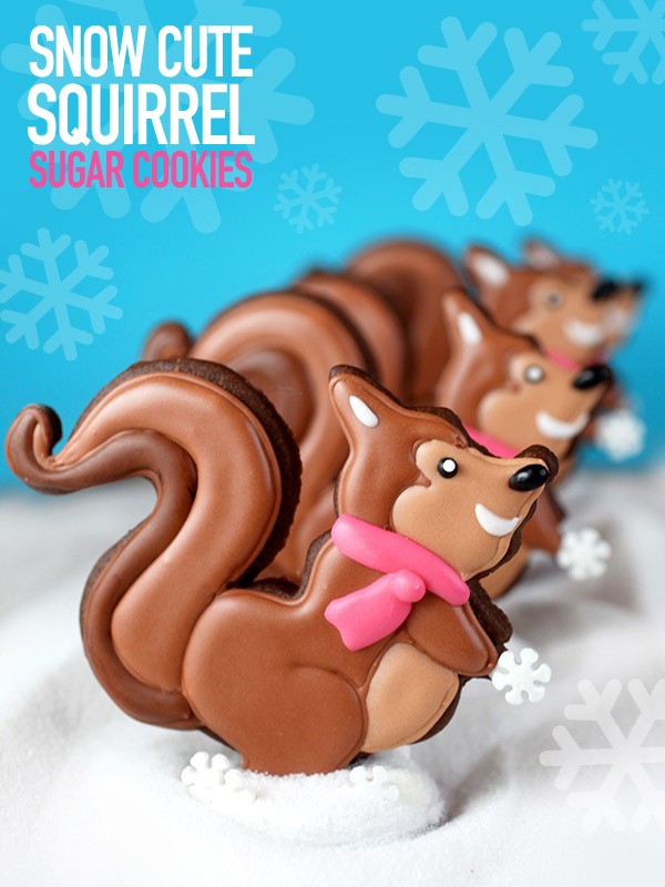 Snow cute sugar cookie squirrels