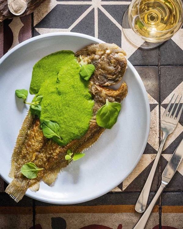 Sole with coastal green sauce