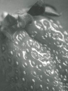 Sorbet of Charentais melon
