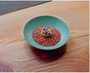 Sorghum tart, smoked eel cream, aged beef, and mustard salt [Jeremy Chan]