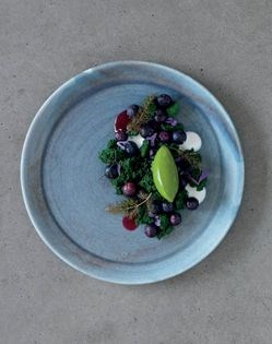 Sorrel and fennel sorbet, blueberries and garden lavender