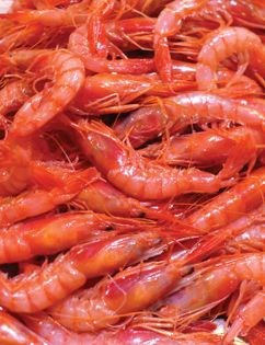 Soupy seafood rice (Arroz caldoso de marisco)