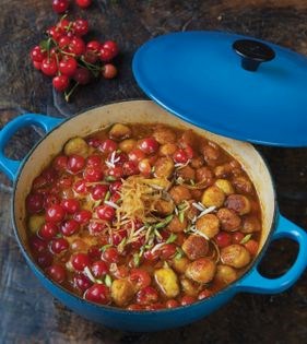 Sour cherry braise (Khoresh-e albalu-ye gorgani)