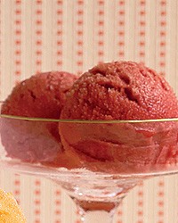 Sour-cherry lambic sorbet