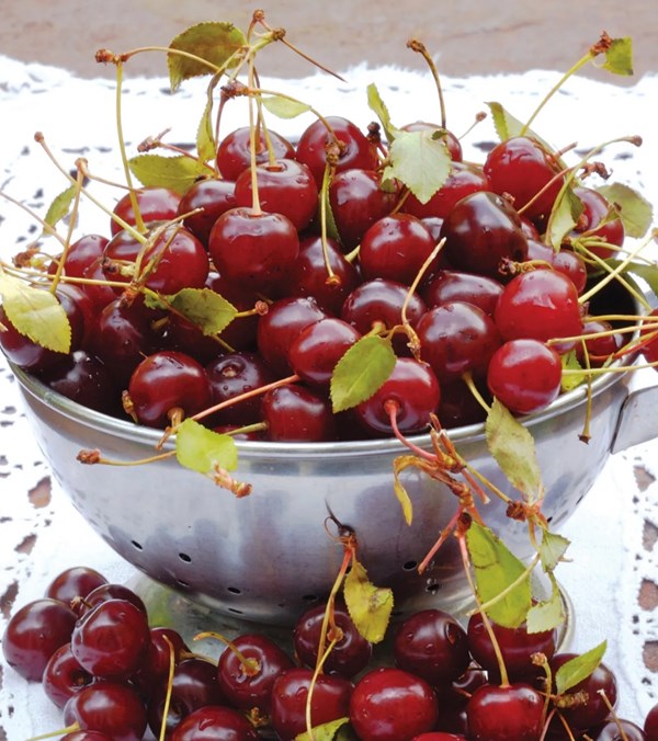 Sour-cherry preserve (Moraba-ye albalu)