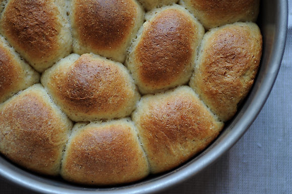 Sour cream dinner rolls