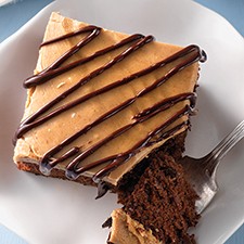 Sourdough chocolate cake