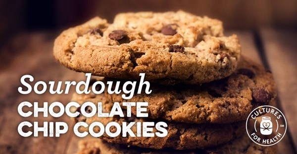 Sourdough chocolate chip cookies