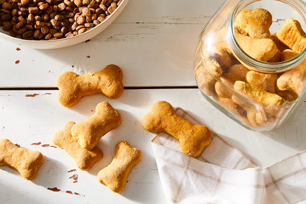 Sourdough discard dog treats