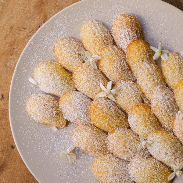 Sourdough orange blossom madeleines