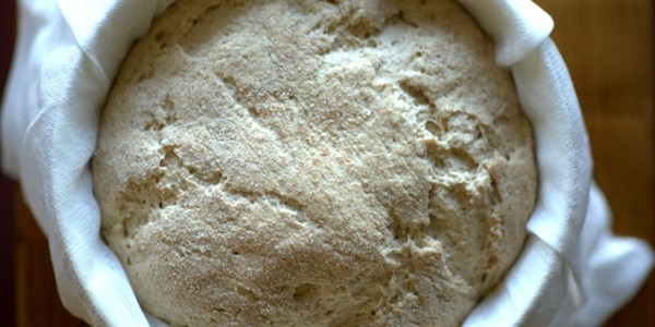Sourdough starter