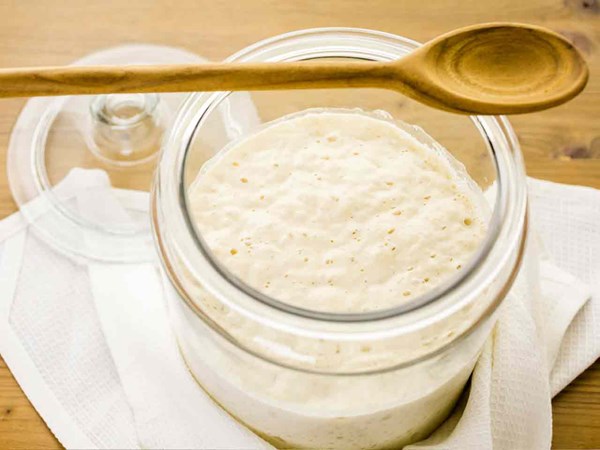 Sourdough starter