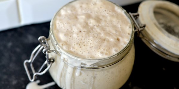 Sourdough starter