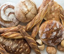 Sourdough starter