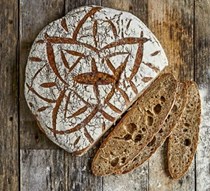 Sourdough starter